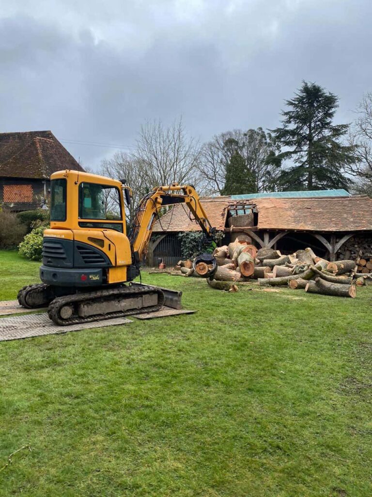 This is a photo of a tree which has grown through the roof of a barn that is being cut down and removed. There is a digger that is removing sections of the tree as well. Towcester Tree Surgeons