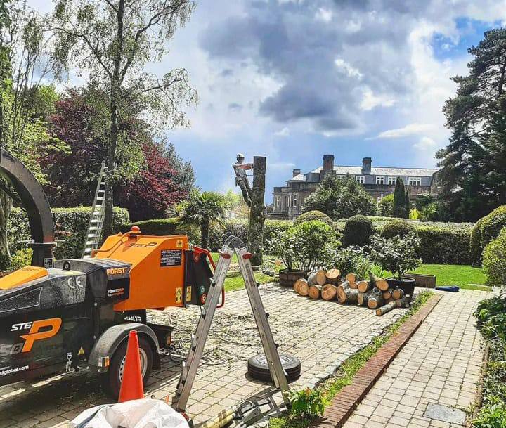 This is a photo of a tree being felled. A tree surgeon is currently removing the last section, the logs are stacked in a pile. Towcester Tree Surgeons