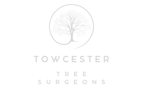 Towcester Tree Surgeons